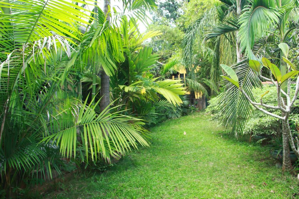Traditional Kandyan House Esterno foto